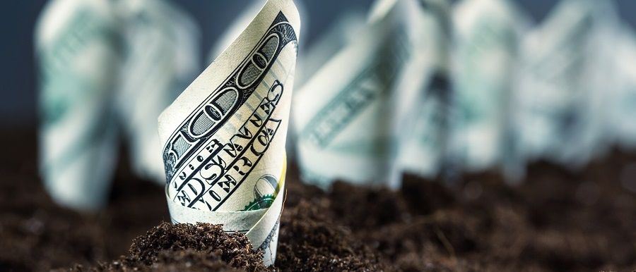 dollaro terra sommario corso investire